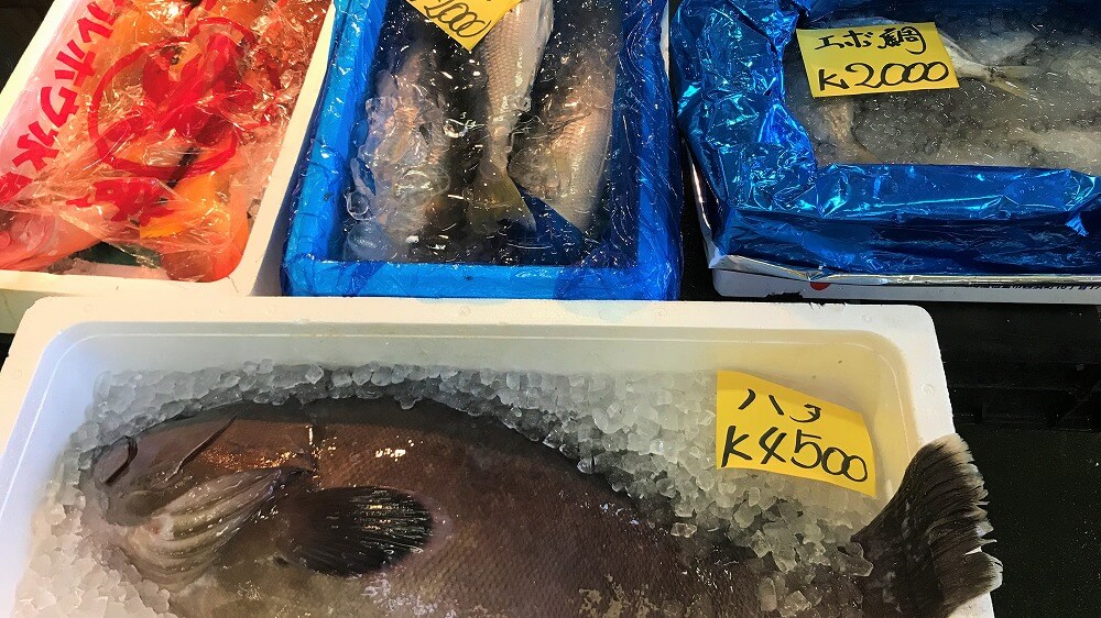 魚の写真
