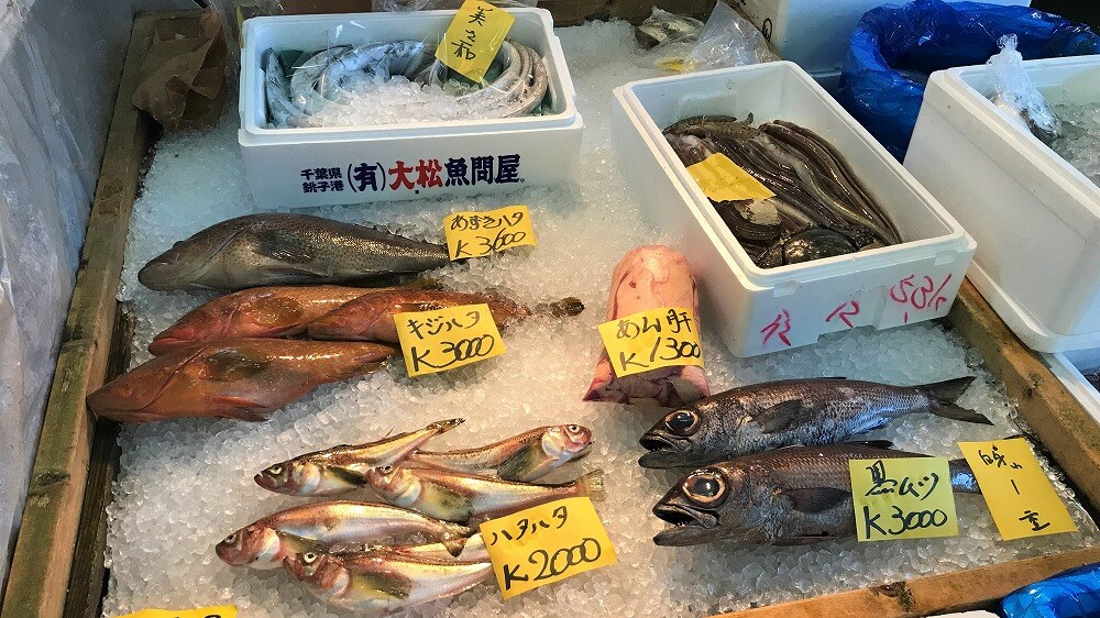 新鮮な魚たち