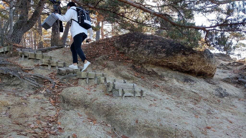 弥三郎岳 登山道 木の階段