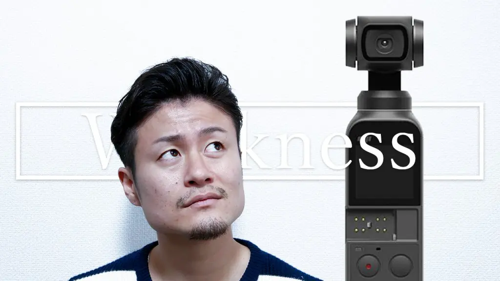 Osmo Pocketを1ヶ月間使用して気になったポイントまとめ|イマイチな点 ...