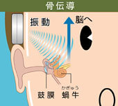 骨伝導の仕組み　骨伝導