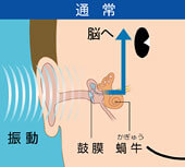 骨伝導のしくみ　通常